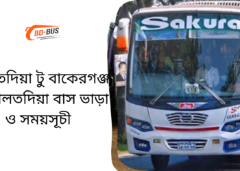 Daulatdia To Bakerganj To Daulatdia Bus Schedule &Ticket Price